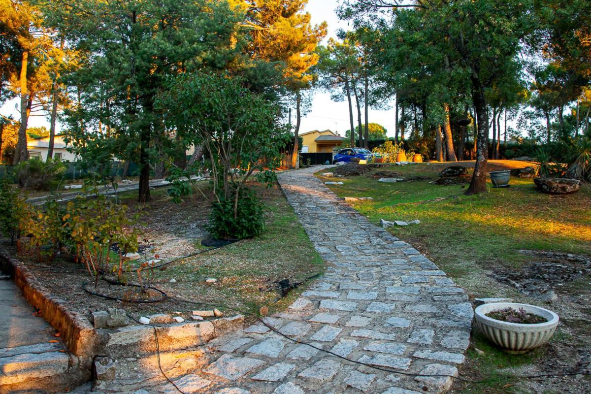 Casa Cadalso, Mirador De Gredos, Madrid Guest House Cadalso de los Vidrios Eksteriør bilde